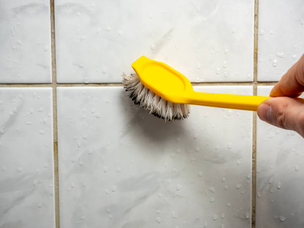 Best Best Mold Removal Companies  in Belfair, WA