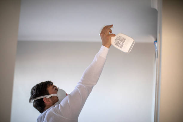 Best Crawl Space Mold Removal  in Belfair, WA