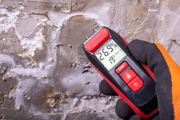 Best Residential Mold Removal  in Belfair, WA