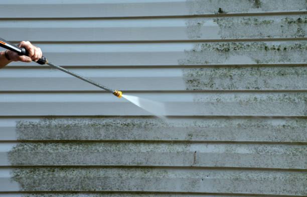 Best Fast Mold Removal  in Belfair, WA